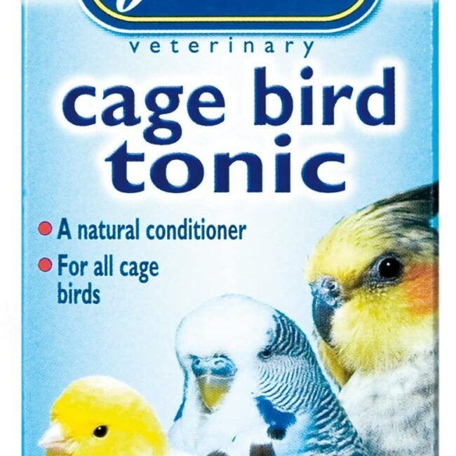 Bulk Buy Bird Food Online Bird Food, Treats and Feeders